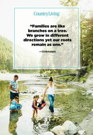 perheet ovat kuin oksia puussa, kasvatamme eri suuntiin, mutta juuremme pysyvät yhtenä