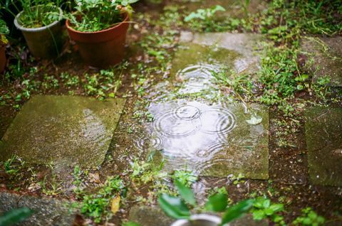 sadepisarat jättäen renkaat veteen puutarhassa