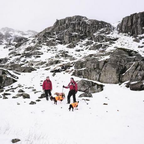 vuoristopelastuskoirien järvialue