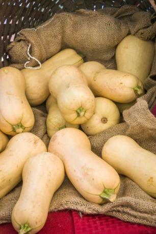 korissa on tuoretta butternut-kurpitsaa turskanviljelijöiden markkinoilla