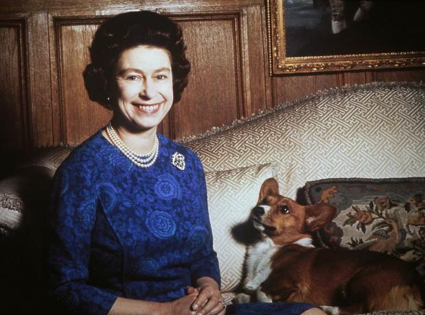 kuningatar Elizabeth ii corgilla, 1970 kuva Keystionehulton archivegetty images