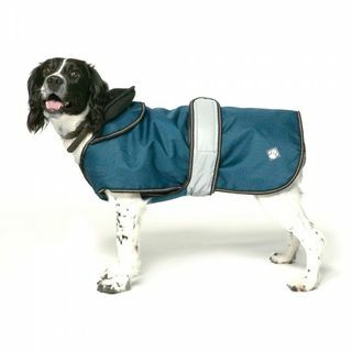 Sininen 2-in-1 Ultimate koiran takki