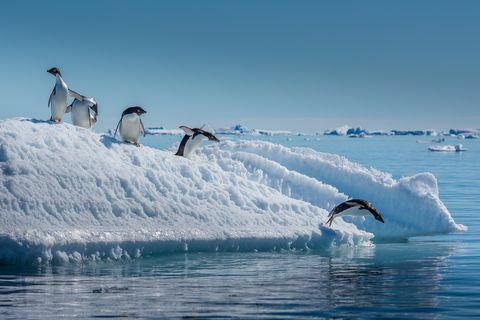 löydä Etelämanner maalaistalon ainutlaatuisella lomalla vuonna 2022