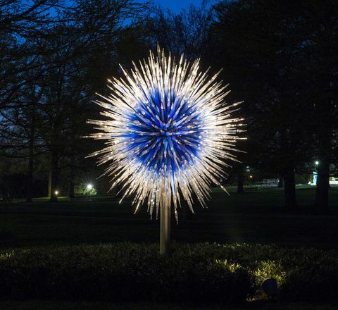 Dale Chihuly Sapphire Star -valokuva