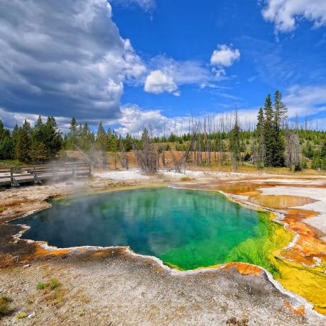 geysir yellowstonen luonnossa ja maisemassa