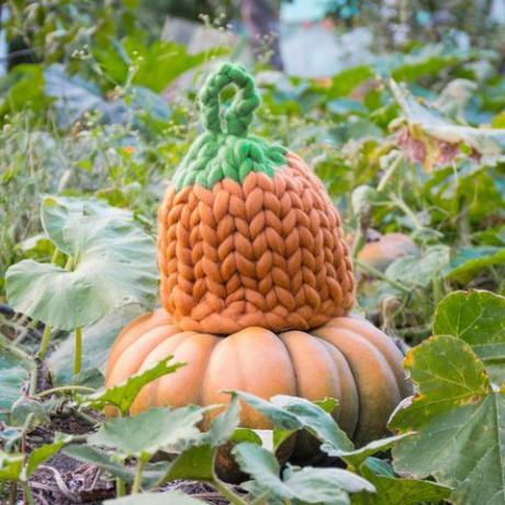 Pumpkin Knit Hat