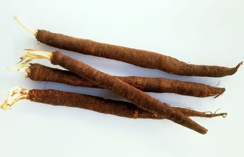 Scorzonera (musta Salsify)