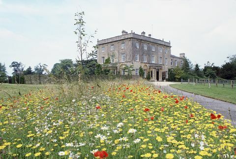 tetbury, Yhdistynyt kuningaskunta 14. heinäkuuta prinssi charlesin istuttama villikukkaniitty highgroveen, walesin perheen kotimaa valokuva tim graham valokuvakirjasto Getty-kuvien kautta