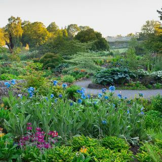 RHS: n yhteinen jäsenyys