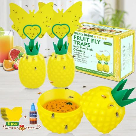 Ananas Fruit Fly Trap